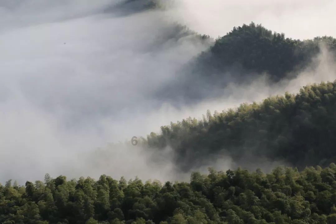 救援可爱的小丑